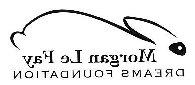 Morgan Le Fay Dreams Foundation Logo